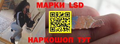 крисы Кулебаки