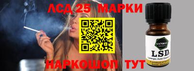 крисы Кулебаки