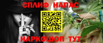 сатива Кунгур