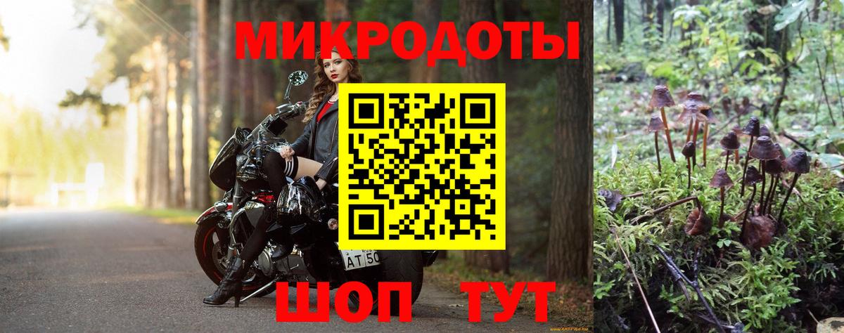 наркота  Псилоцибиновые грибы мухоморы  Вход с VPN  Благовещенск  Псилоцибиновые грибы Cubensis 